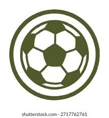 上海女排进决赛！主场票价很亲民！